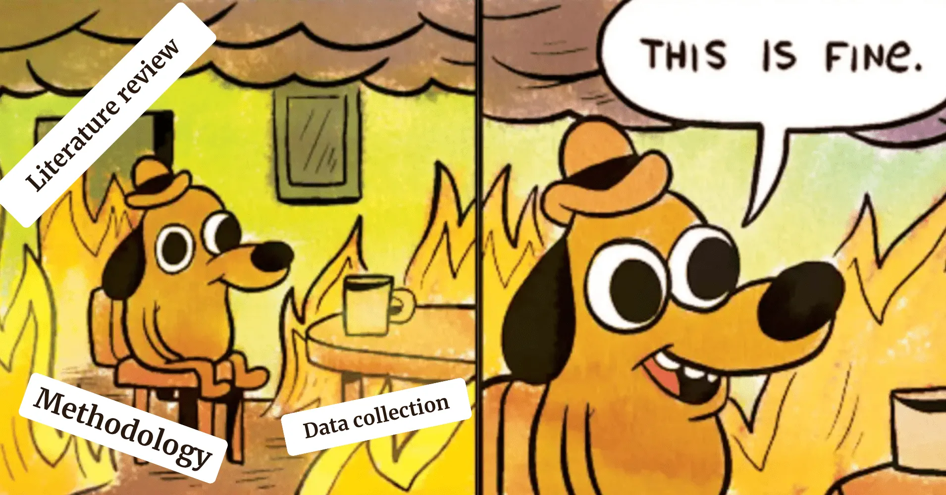 The “this is fine” meme, with the literature review, methodology and data collection all on fire