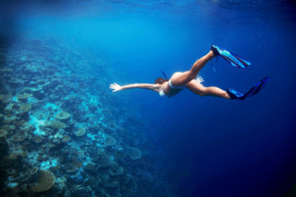 dive Dive into the inferential statistics