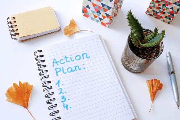 Action plan